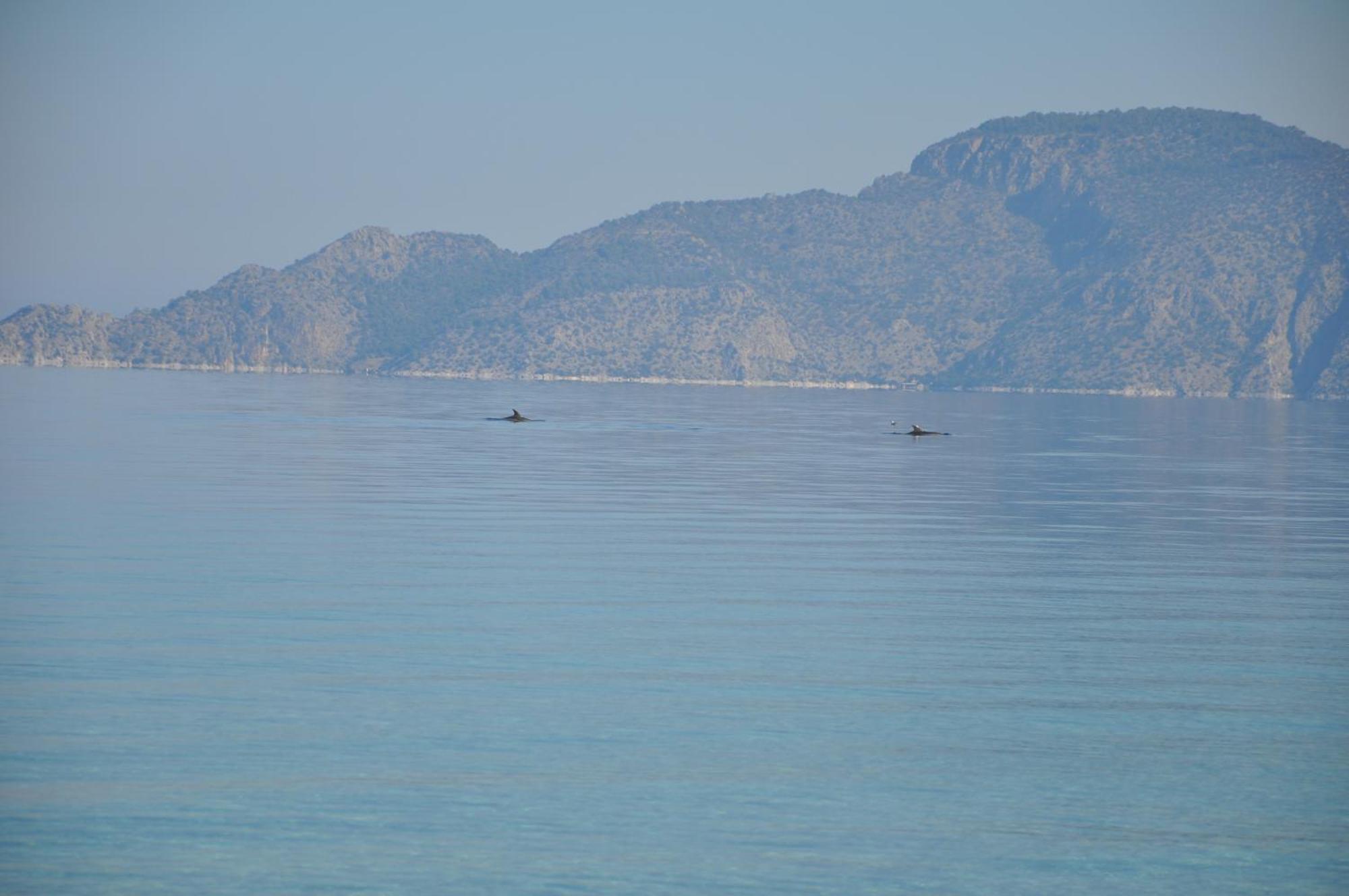 Villa In Kalloni Direkt Am Meer, Tolle Aussicht Esterno foto