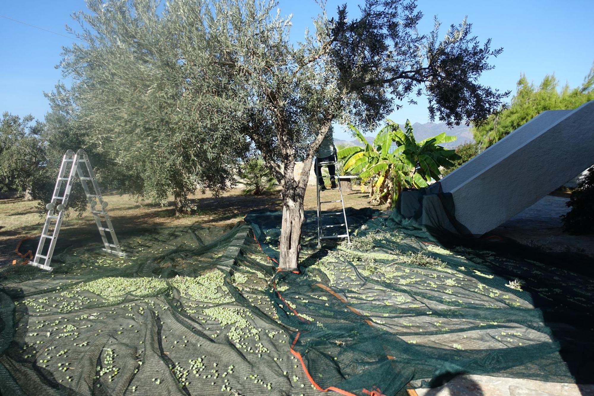 Villa In Kalloni Direkt Am Meer, Tolle Aussicht Esterno foto